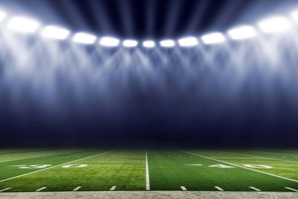 Beginner fantasy football guide