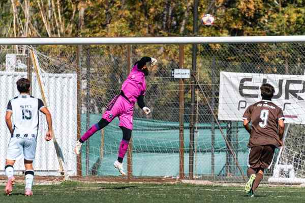 diving scoring explained